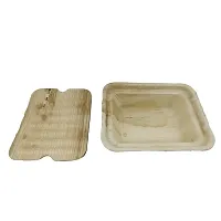 Aumni Crafts Areca Leaf Boxes Disposable Eco Friendly Container for Food Packing-thumb1