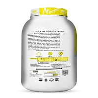 American Nutrition Animal Whey Protein Concentrate Powder 5 Lbs-thumb2