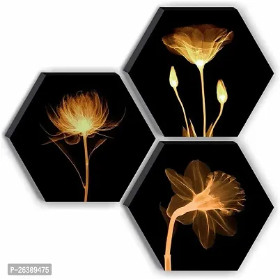 Set Of 3 Hexagon Preety Brown Flower Uv Textured Mdf Home Decorative Gift Item Painting 17 Inch X 17 Inch Sanfhx15Small-thumb0