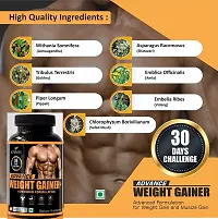 OINM Advance Weight Gainer+ Advance Formulation 30 Ayurvedic Capsule + AIDLIV DS Syrup 200ml Good for Appetizer, Jaundice  Malnutrition Herbal Medicine for All LIVER Problems ALL age Group Unisex-thumb2