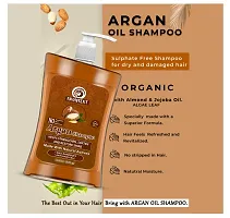 Traytext Argan Shampoo 1000 Ml Pack of 2-thumb3