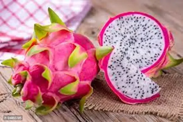 Dragon Fruit Pack of 2