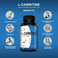 Simply Herbal L- Carnitine Tablet 500mg - (Amino Acid for Muscle, Brain  Heart)  (120 Tablets)-thumb3