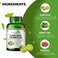 Simply Herbal Garcinia Cambogia 70%HCA +GreenTea +Guggul 800mg 60 no.s For Weight loss  (60 Capsules)-thumb4