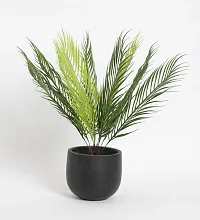 Home Bloom Artificial Areca Plant without Pot for Home and Office Deacute;cor Ornamental Plant for Interior Decor/Home Decor/Office Decor | Big Indoor Plant (9 Branches, 50 cm Tall, Green)-thumb3