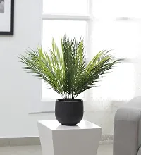 Home Bloom Artificial Areca Plant without Pot for Home and Office Deacute;cor Ornamental Plant for Interior Decor/Home Decor/Office Decor | Big Indoor Plant (Pack of 3, 9 Branches, 50 cm Tall, Green)-thumb1