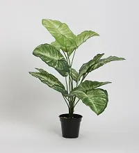 Home Bloom Beautiful Artificial Miniature PVC Silk Plant with Big Leaves and Without Pot (12 Leaves, 50 cm Tall, Multicolour)-thumb2