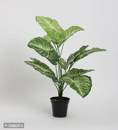 Home Bloom Beautiful Artificial Miniature PVC Silk Plant with Big Leaves and Without Pot (12 Leaves, 50 cm Tall, Multicolour)-thumb3