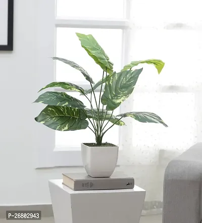 Home Bloom Beautiful Artificial Miniature PVC Silk Plant with Big Leaves and Without Pot (12 Leaves, 50 cm Tall, Multicolour)-thumb0