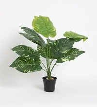 Home Bloom Beautiful Artificial Miniature PVC Silk Plant with Big Leaves and Without Pot (12 Leaves, 50 cm Tall, Multicolour)-thumb1