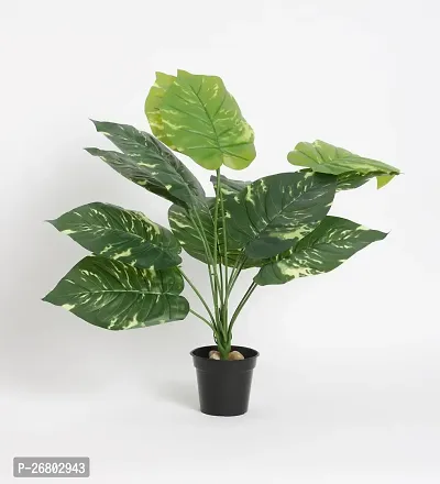 Home Bloom Beautiful Artificial Miniature PVC Silk Plant with Big Leaves and Without Pot (12 Leaves, 50 cm Tall, Multicolour)-thumb2