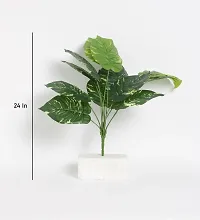 Home Bloom Beautiful Artificial Miniature PVC Silk Plant with Big Leaves and Without Pot (12 Leaves, 50 cm Tall, Multicolour)-thumb3