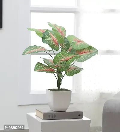 Home Bloom Beautiful Artificial Miniature PVC Silk Plant with Big Leaves and Without Pot (12 Leaves, 50 cm Tall, Multicolour)-thumb0
