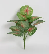 Home Bloom Beautiful Artificial Miniature PVC Silk Plant with Big Leaves and Without Pot (12 Leaves, 50 cm Tall, Multicolour)-thumb1