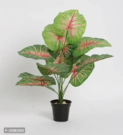 Home Bloom Beautiful Artificial Miniature PVC Silk Plant with Big Leaves and Without Pot (12 Leaves, 50 cm Tall, Multicolour)-thumb3