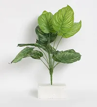 Home Bloom Beautiful Artificial Miniature PVC Silk Plant with Big Leaves and Without Pot (12 Leaves, 50 cm Tall, Multicolour)-thumb1