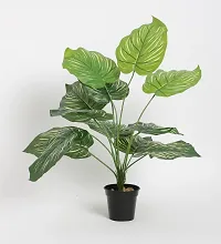 Home Bloom Beautiful Artificial Miniature PVC Silk Plant with Big Leaves and Without Pot (12 Leaves, 50 cm Tall, Multicolour)-thumb2