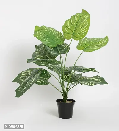 Home Bloom Beautiful Artificial Miniature PVC Silk Plant with Big Leaves and Without Pot (12 Leaves, 50 cm Tall, Multicolour)-thumb3