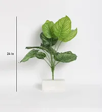 Home Bloom Beautiful Artificial Miniature PVC Silk Plant with Big Leaves and Without Pot (12 Leaves, 50 cm Tall, Multicolour)-thumb3