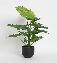 Home Bloom Beautiful Artificial Miniature PVC Silk Floor Plant with Big Leaves and Without Pot (18 Leaves, 65 cm Tall, Green)-thumb2