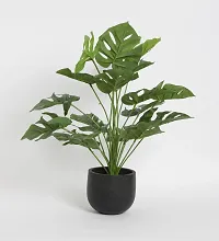 Home Bloom Beautiful Artificial Miniature PVC Silk Floor Plant with Big Leaves and Without Pot (18 Leaves, 65 cm Tall, Green)-thumb3