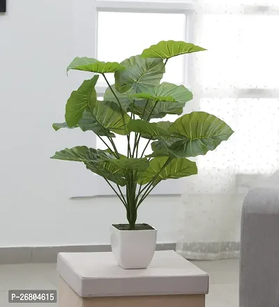 Home Bloom Beautiful Artificial Miniature PVC Silk Floor Plant with Big Leaves and Without Pot (18 Leaves, 65 cm Tall, Green)