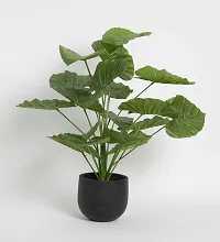 Home Bloom Beautiful Artificial Miniature PVC Silk Floor Plant with Big Leaves and Without Pot (18 Leaves, 65 cm Tall, Green)-thumb3