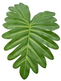 Beautiful Artificial Miniature PVC Silk Floor Plant with Big Leaves and Without Pot (18 Leaves, 65 cm Tall, Green)-thumb2