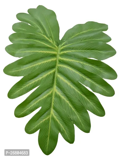 Beautiful Artificial Miniature PVC Silk Floor Plant with Big Leaves and Without Pot (18 Leaves, 65 cm Tall, Green)-thumb3