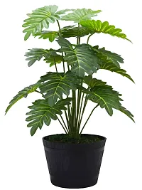 Beautiful Artificial Miniature PVC Silk Floor Plant with Big Leaves and Without Pot (18 Leaves, 65 cm Tall, Green)-thumb4