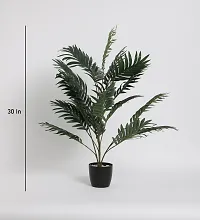 Home Bloom  Artificial Areca Palm for Home Decor/Office Decor/Gifting | Big Ornamental Plant with Basic Black Pot | 21 Leaves | 75 cm Tall Natural Looking Indoor Plant-thumb1