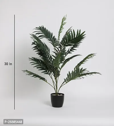 Home Bloom  Artificial Areca Palm for Home Decor/Office Decor/Gifting | Big Ornamental Plant with Basic Black Pot | 21 Leaves | 75 cm Tall Natural Looking Indoor Plant-thumb2