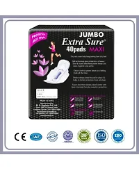 Jumbo Extra Sure DRY Net Top Sheet Pad naturally SOFT extra L 1 Jumbo Packet-thumb4
