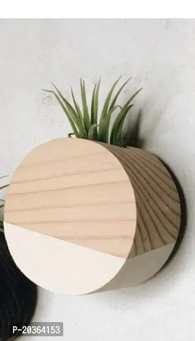 Decorative Indoor Plant Pot