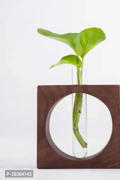 Decorative Indoor Plant Pot-thumb0