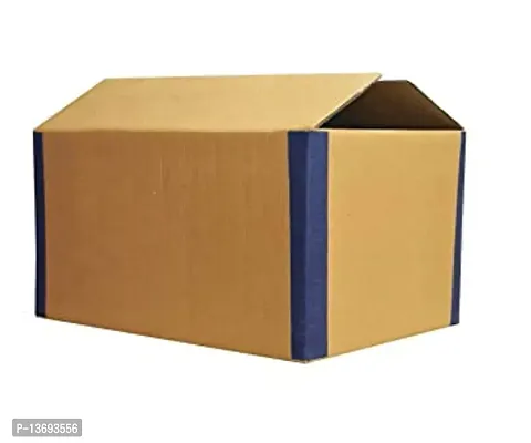 Classic Large Corrugated Packing Boxes_ (Pack Of 20)
