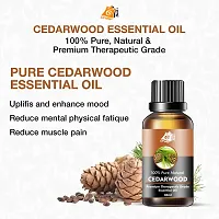 Cedarwood Essential Oil for Skin Aromatherapy Hair Pure, Natural, 120ml Pack of 4-thumb1