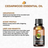 Cedarwood Essential Oil for Skin Aromatherapy Hair Pure, Natural, 120ml Pack of 4-thumb2