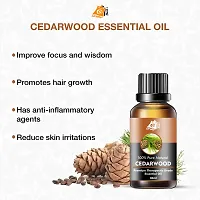 Cedarwood Essential Oil for Skin Aromatherapy Hair Pure, Natural, 120ml Pack of 4-thumb4