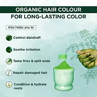 Indigo Powder for Hair - Natural and Organic Hair Dye with Long-lasting Color (200G) Pack of 2-thumb1