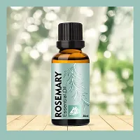 Naturals Rosemary Oil For Skin, Muscle  Hair Conditioner 60 ML Pack of 2-thumb2