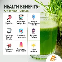 Ordershock Wheat Grass Powder 100g - Natural Superfood for Nutritional Wellness-thumb2