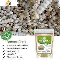 Ordershock Pure Babool Phali Powder Oral Health, Digestive Support-thumb4