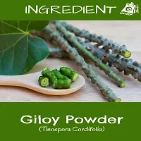 Ordershock Natural  Giloy Powder Ayurvedic Supplement for Immune Support and Vitality-thumb1