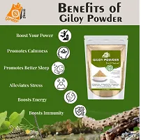 Ordershock Natural  Giloy Powder Ayurvedic Supplement for Immune Support and Vitality-thumb3