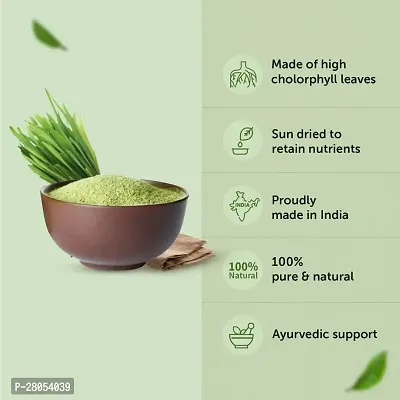 Ordershock Pure Wheat Grass Powder Natural Superfood for Nutritional Wellness-thumb4