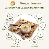 Ordershock Pure Giloy Powder Natural Ayurvedic Supplement for Immune Support and Vitality-thumb2