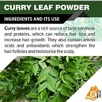 Ordershock Organic Aloevera Powder With Curry Leaf Powder - Natural Detox Hair Health-thumb4