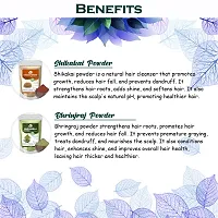 Ordershock Bhringraj, Amla, Reetha Shikakai  Hibiscus Leaves Powder For Hair Care Powder-thumb1