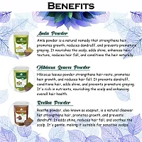 Ordershock Bhringraj, Amla, Reetha Shikakai  Hibiscus Leaves Powder For Hair Care Powder-thumb3